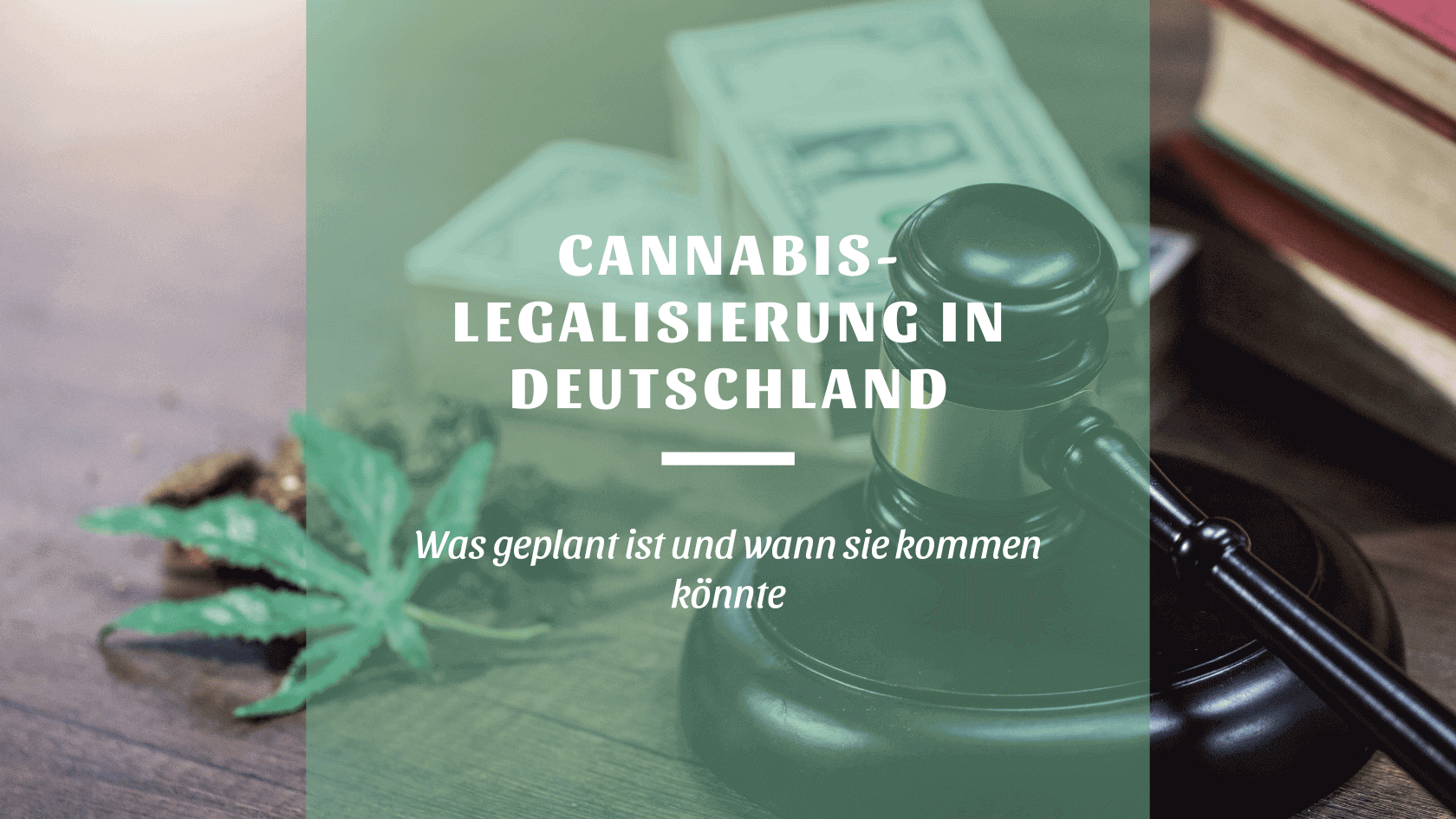 CannabisLegalisierung Was Sie ab Sofort wissen sollten