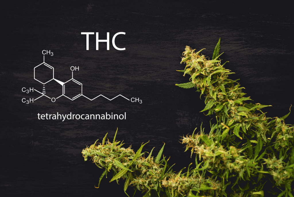 THC - Tetrahydrocannabidiol und seine molekulare Struktur
